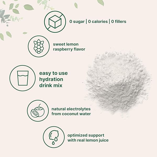 MICRO INGREDIENTS ELECTROLYTE POWDER, 2 LBS (139 SERVINGS) | LEMON RASPBERRY FLAVOR | HIGH POTASSIUM (1,000MG) + COCONUT WATER & REAL LEMON JUICE | NO SUGAR, KETO FRIENDLY | NON-GMO