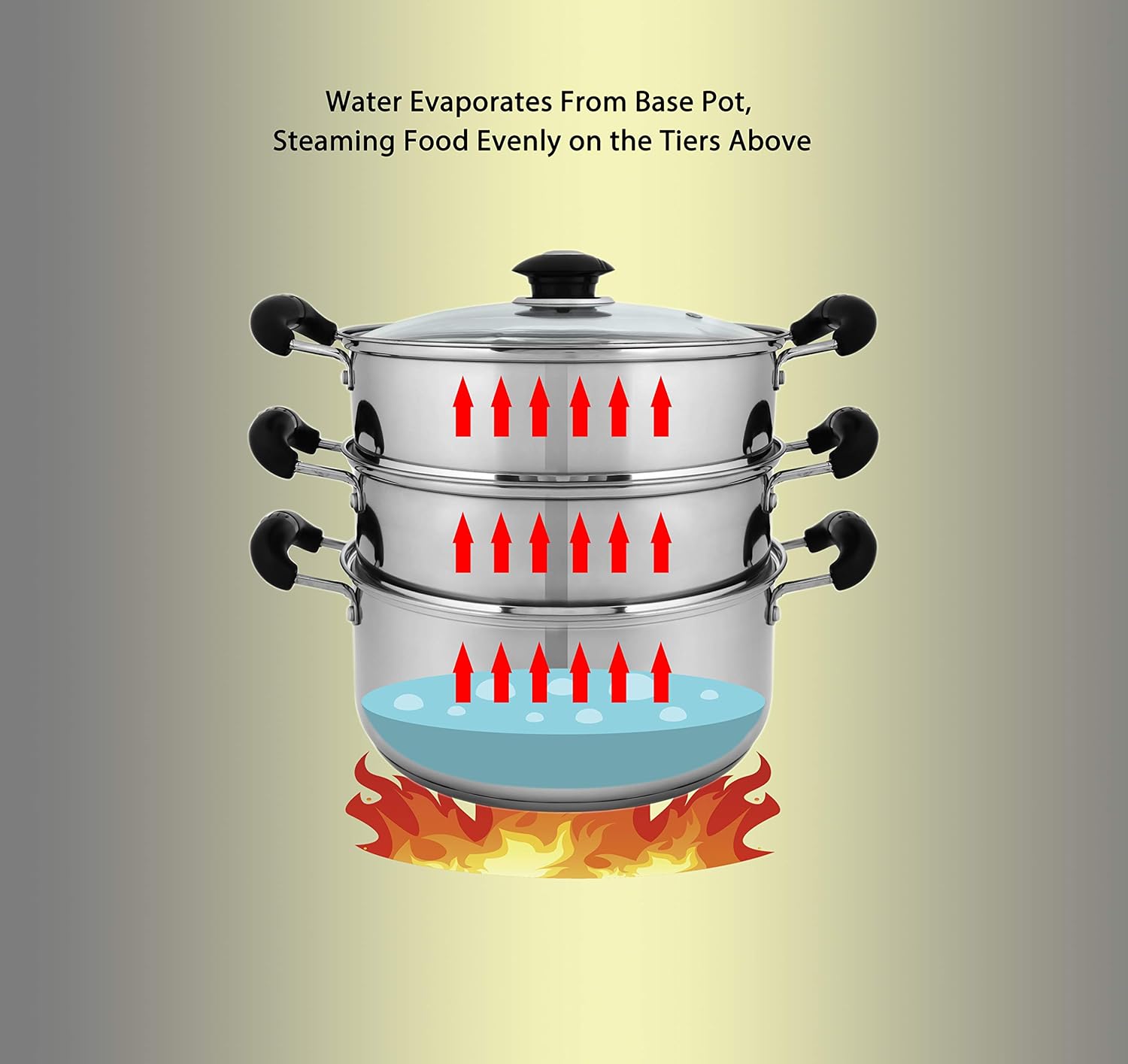 CONCORD 10" Stainless Steel 3 Tier Steamer Steaming Pot Cookware 24 CM (Induction Compatible): Kitchen & Dining