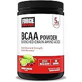Force Factor BCAA Amino Acids Supplement 2:1:1, Delicious and Refreshing BCAA Powder to Support Muscle Recovery and Performance, No Artificial Colors or Flavors, Cherry Limeade, 30 Servings