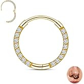 limerencia Titanium Nose Ring Hoop,20G Titanium Cubic Zirconia Nose Ring,Cartilage Hoop Earring Septum Ring Tragus Conch Helix Daith Lip Piercing Jewelry for Women Men