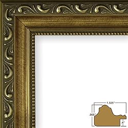 Craig Frames Ancien Ornate, 16 x 20 Inch Antique