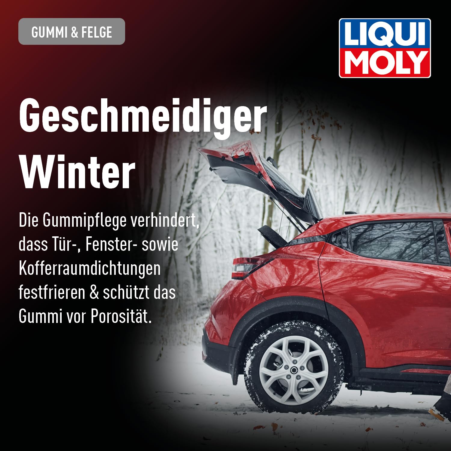 Liqui Moly Gummipflege, Art.-Nr. 7182 I 75 ml Winter Gummi Pflege-Stift als Festfrier-Schutz für Türgummis im Kfz-Bereich I Schutz, Pflege & Elastizität I Silikonfreie Autogummipflege 4
