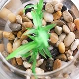 VGOODALL Mixed Colour Pebbles 900g Natural Decorative Stones for Gardens view 4