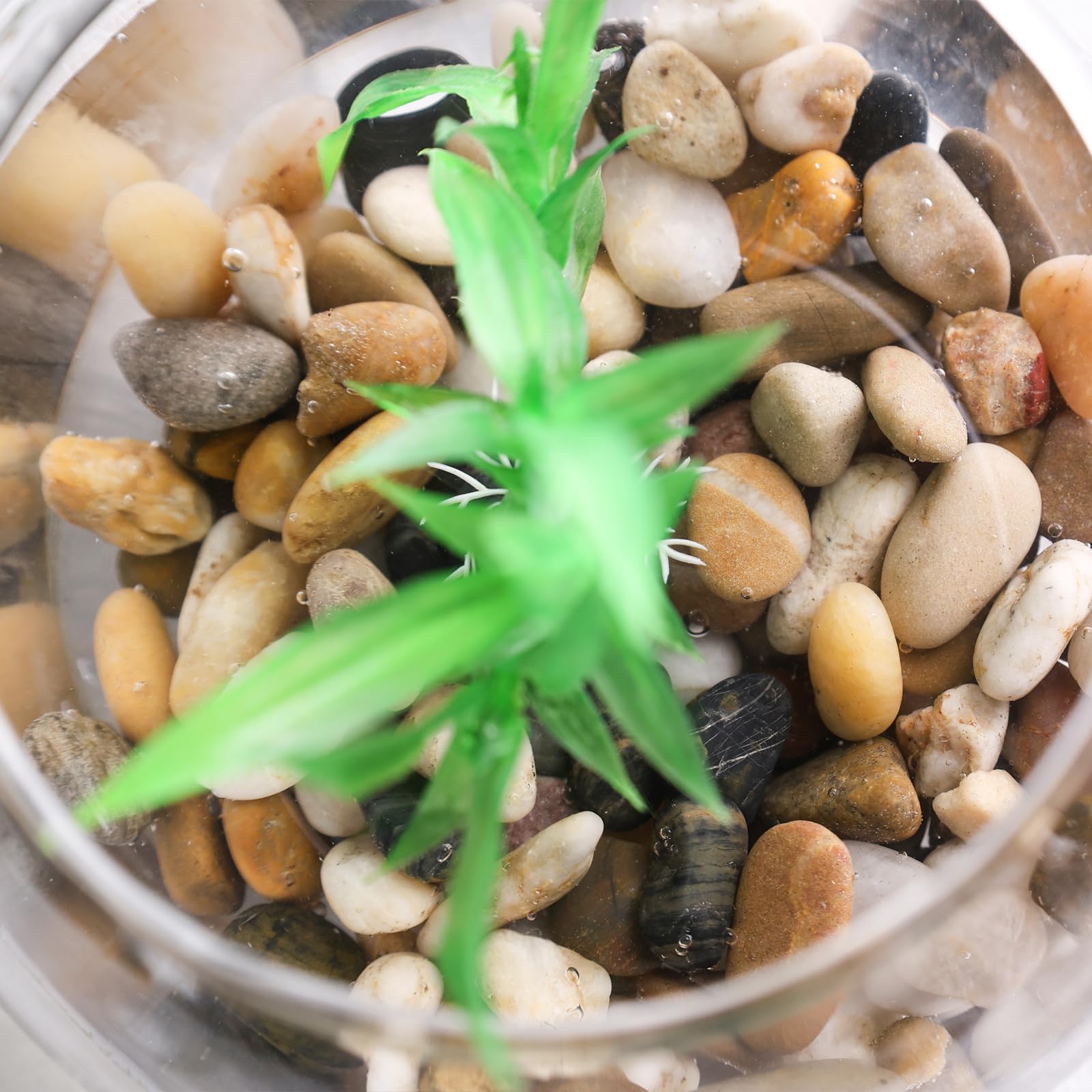 View 4