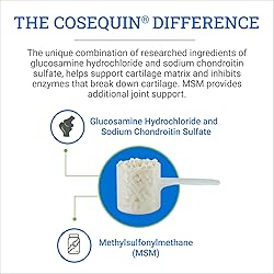 Nutramax Cosequin Optimized Pellets with MSM Joint