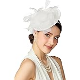BABEYOND Fascinators Hats for Women - Tea Party Kentucky Fascinator Derby Pillbox Hat Mesh Feathers Headband with Hair Clip