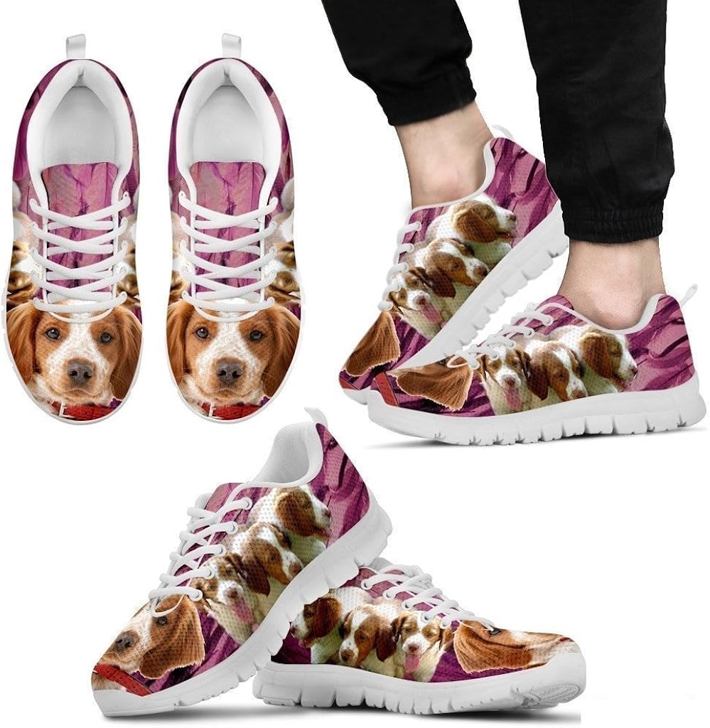 brittany dog running