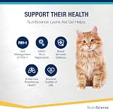 NutriScience LysineAid Cat Gel L-Lysine 50ml Salmon Flavour for Cats & Kittens view 2