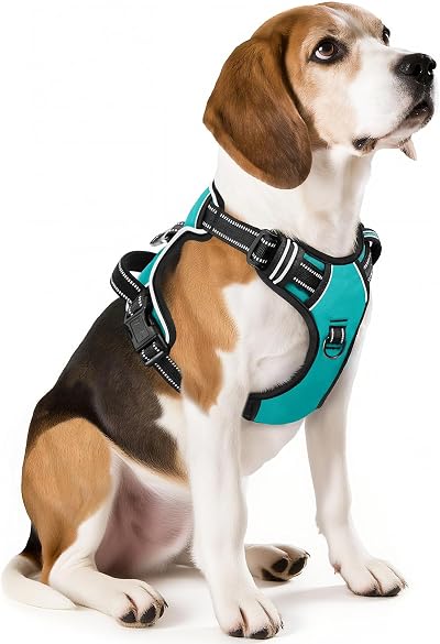 HEELE Dog Harness Medium No Pull Reflective with Handle Turquoise M