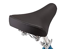 Schwinn Twinn Classic Tandem Adult Beach Cruiser