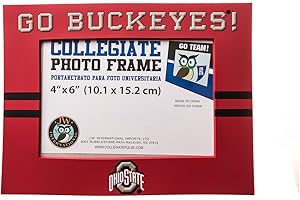 Collegiate Pulse OHIO STATE BUCKEYES PVC PHOTO FRAME