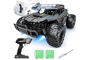 Tecnock Remote Control Car, 1:16 Scale 25 Km/h Fast RC Cars for Adults,2.4GHz Off Road RC Truck Toys with LED Headlight and Rechargeable Battery,Gift for Boys Age 8-12