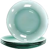 STP GOODS Glass Plates Set of 4 &ndash; Borosilicate Salad &amp; Dessert Plates, Transparent Glass Appetizer Plates, Microwave &amp; Dishwasher Safe Tableware