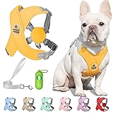 Patas Lague Dog Harness with Leash Set Adjustable