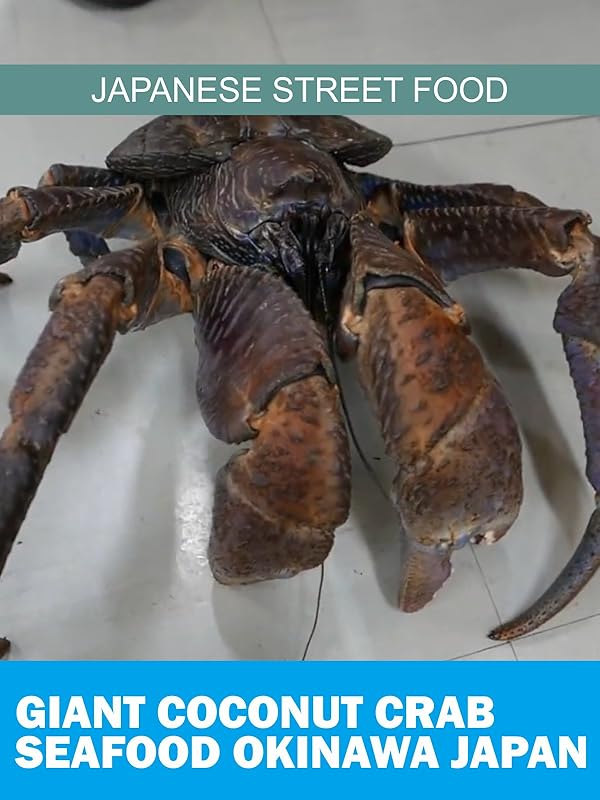 Watch Japanese Street Food Giant Coconut Crab Seafod Okinawa Japan