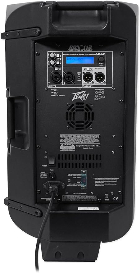 peavey ribbon speakers