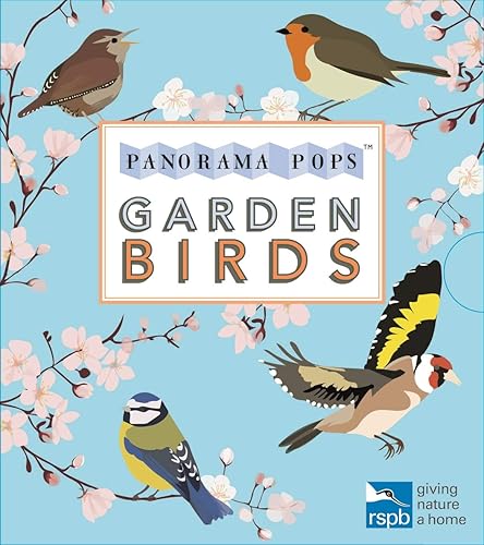 Download Garden Birds: Panorama Pops PDF