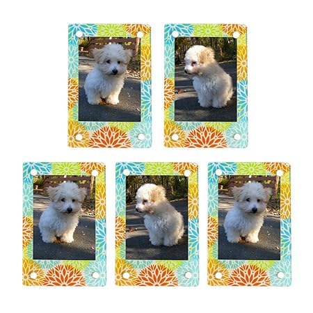 FoRapid - 5 marcos de fotos magnéticos de 3 pulgadas para nevera ...