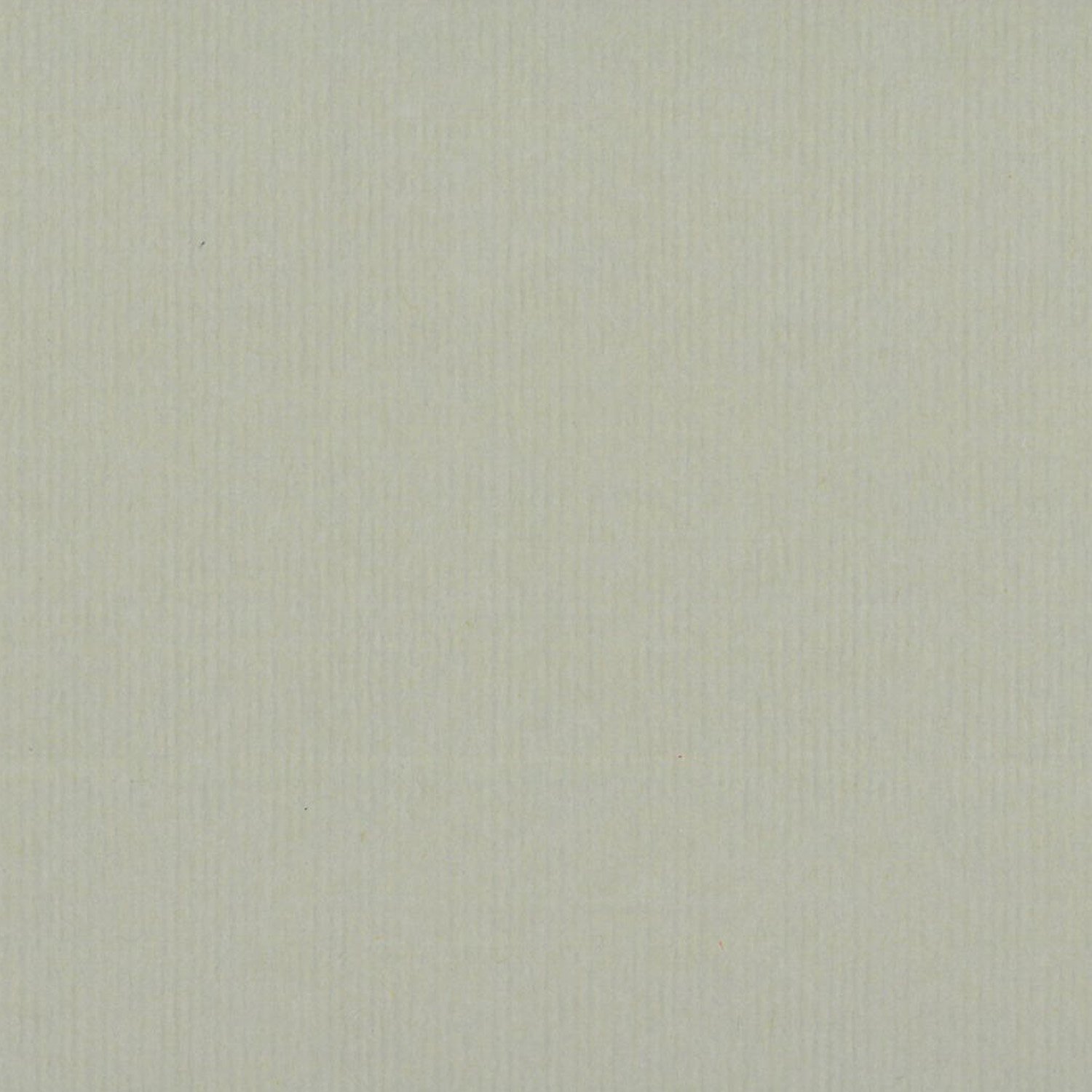 Clairefontaine - Ref 93516C - Ingres Pastel Coloured Paper (Pack of 25 Sheets) - 50 x 65cm, 130gsm Drawing Paper, Metallic - Suitable for All Dry Techniques
