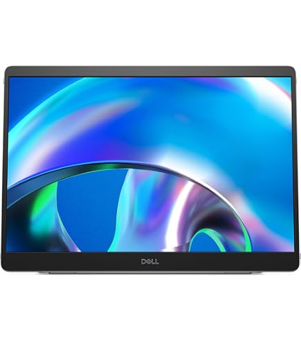 Amazon.com: Lenovo ThinkVision M14t 14