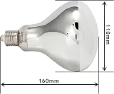 Komodo Solar D3 UV Basking Bulb 125W for Desert & Tropical Reptile Habitats view 6