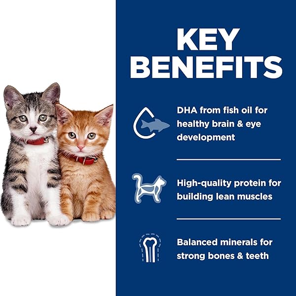 HILL’S SCIENCE DIET KITTEN, KITTEN PREMIUM NUTRITION, DRY CAT FOOD, NO CORN, WHEAT, SOY CHICKEN & BROWN RICE, 6 LB BAG