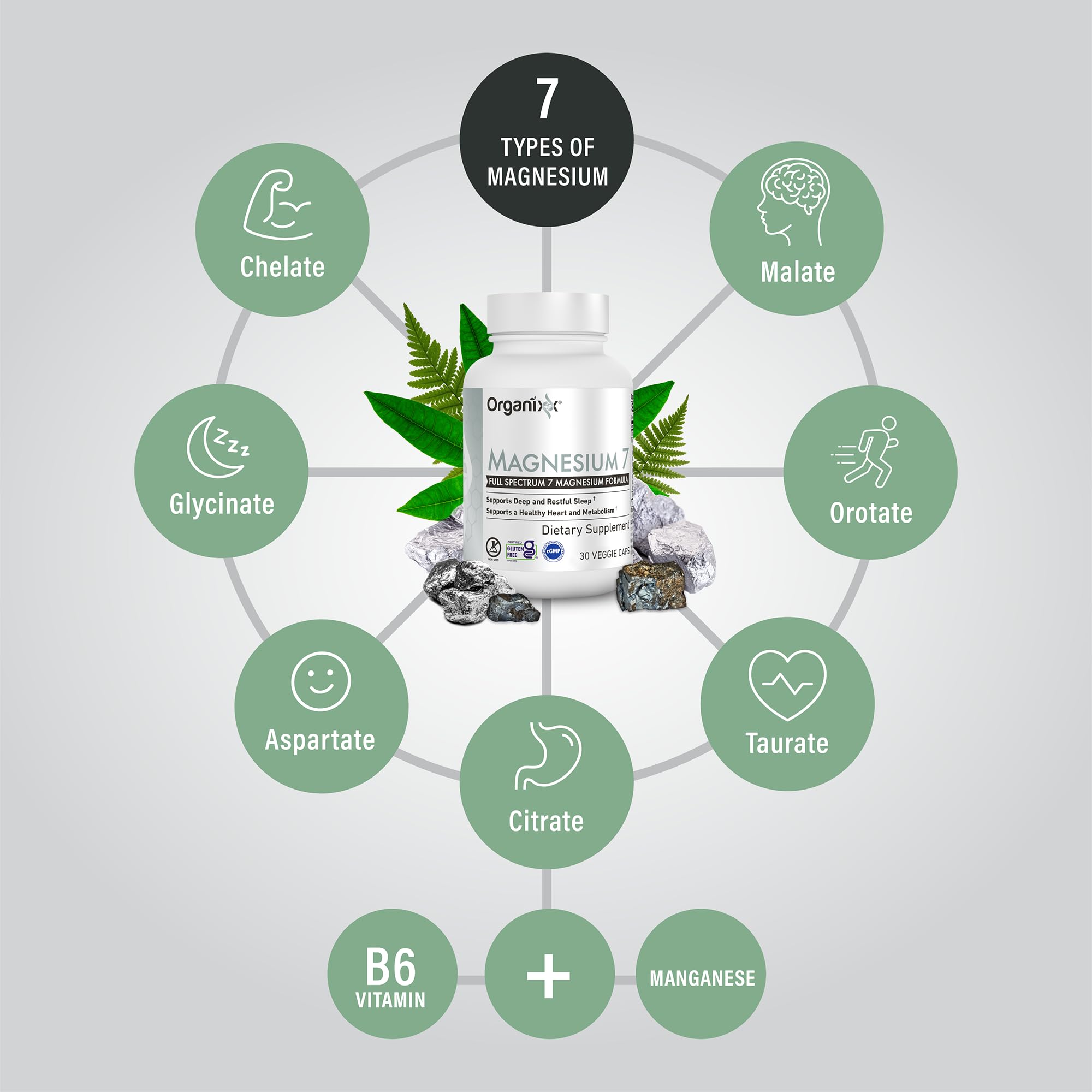 Organixx Magnesium Supplement, Natural Magnesium Capsules for Sleep Support, Muscle Recovery, with Vitamin B6 and Manganese Citrate and Glycinate, High Absorption, Vegan, Non GMO (30 Count)