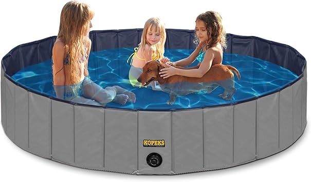 tropical water frogs