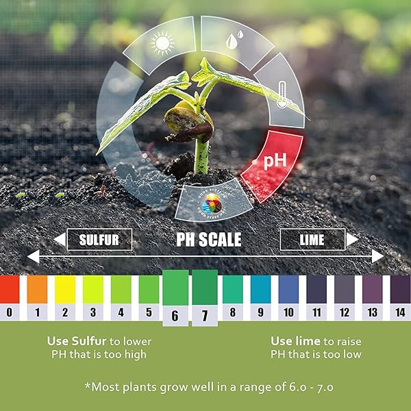 EARTH SCIENCE FAST ACTING SULFUR GRANULES – 5LB – REDUCES SOIL PH AND NUTRIENT RUNOFF, IMPROVES GROWTH & COLOR FOR ACID-LOVING PLANTS, LONG-LASTING LAWN CARE SUPPLEMENT