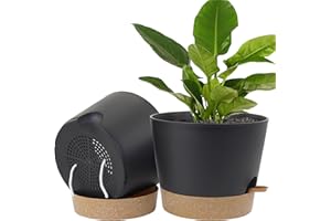 UOUZ Pots for Indoor Plants,12 inch 2 Pack Large Self Watering Plant Pots with Drainage Holes Plastic Flower Pots with Deep Reservoir, Black with Brown
