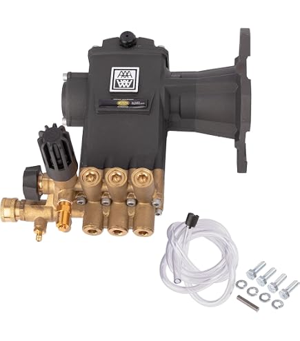 Amazon.com : 7109379 AAA Horizontal Triplex Plunger Replacement