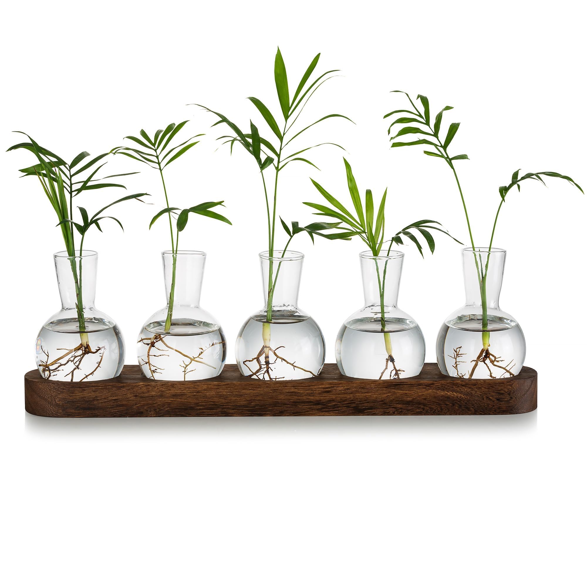 Glasseam Plant Terrarium Propagation Station, Glass Planter Bulb Vase With Wooden Tray, Modern Bud Vases for Living Room Office Decor, Desktop Flower Vases Hydroponics Glass Vase for Plants Cutting
