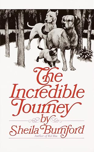 Download The Incredible Journey PDF