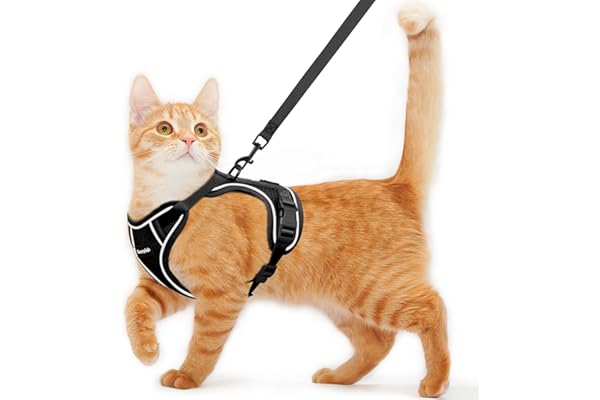 Cat Harness and Leash for Walking Escape Proof Soft Adjustable Cat Leash Breathable Comfortable Vest Easy to Wear Kitten Harn