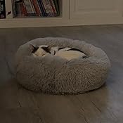 Queta Rundes Katzenbett Doughnut-Form - Flauschiges Haustierbett 40cm Grau