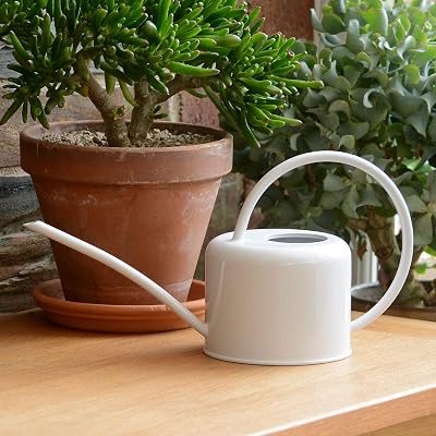 CKB LTD Small 1.1L Indoor Watering Can Chalk White Galvanised Steel