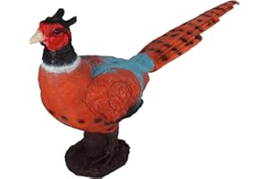 Archery Targets Pheasant 3D Shooter with Two-Side Cores and Ground-stakes for Targeting Hunting Practice
