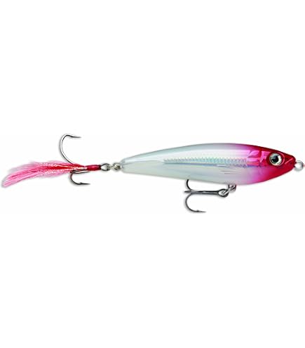 Amazon.com : Rapala X-Rap Subwalk 15 Fishing Lures (Silver, Size