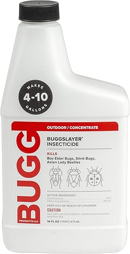 hstcstbl-table__image