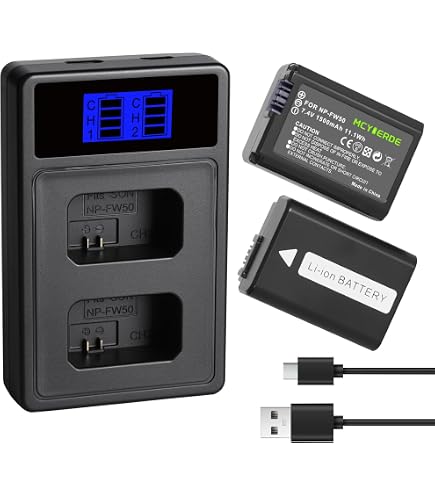 Amazon.com : Surpassed Battery Pack for Sony Alpha NEX-3, NEX-3N