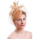 Cizoe Fascinators Hats 20s 50s Hat Pillbox Hat Cocktail Flower Tea Party Headwear with Veil for Girls and Women