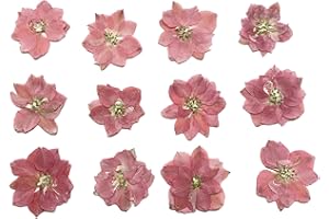 YUNZHI DIY Craft Delphinium Dried Pressed Flowers for Scrapbooking DIY Candle Decoration Resin Accessories Jewelry Crafts Decor Making 12pcs/Pack (Natural Pink)