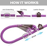 Fida Slip Lead for Dogs 1.8m Pink Reflective Training Leash Rope view 4