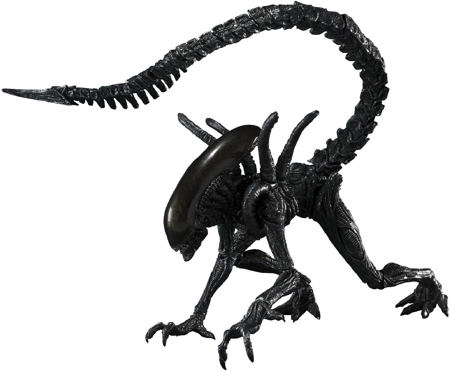 Amazon.com: Bandai Tamashii Nations S.H 