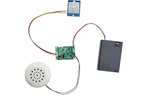 Yuuhseel MP3 Music Voice Recording Audio Module Kit DIY Welcomer Sound Recording Board with Speaker and PIR Motion Sensor