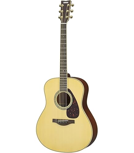 Amazon.com: Recording King 6 String Acoustic Guitar, Right