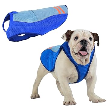 SymbolLife Kühlweste für Hunde Vest Selbstkühlend Atmungsaktiv Blau/Gelb