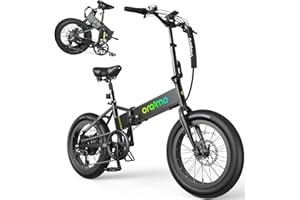 Oraimo Folding Electric Bike for Adults, 750W Brushless Motor(Peak 1000W), 48V 12Ah Hidden Battery Up to 50 Miles, 3.5H Fast Charge, 20" Fat Tire Ebike, 7 Speed Gear, Full-Color LCD Display