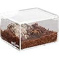 REPTI ZOO Magnetic Acrylic Case 4.1"x3.3"x2.5" Nano Enclosure Reptile Breeding Box Terrarium Cage Tank Tarantula Scorpion Sling Isopods Lizards Roach Invertebrates Insect Mantis