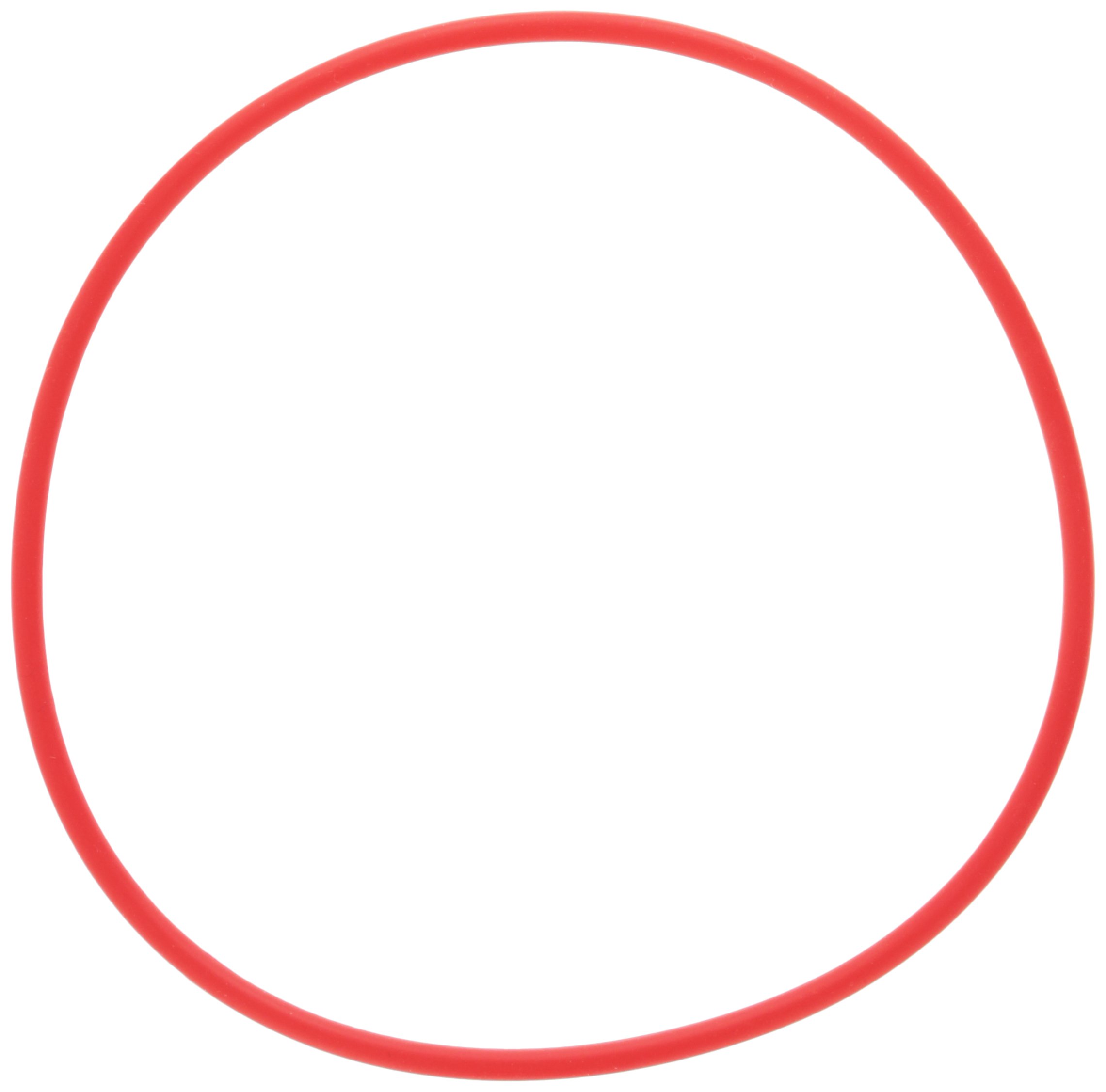 Olympus POL-053 O-Ring for TG-1